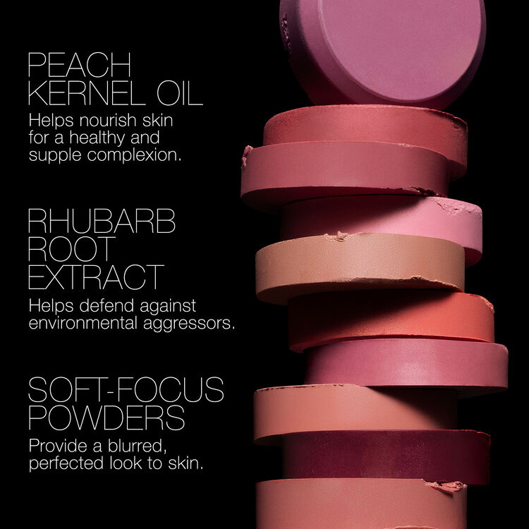 The Multiple | NARS
